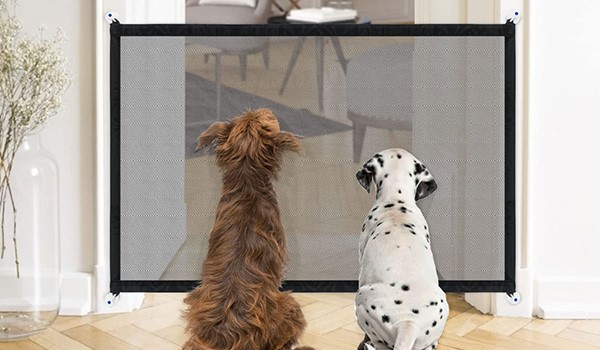 Köpek Otelinde Güvenlik Önlemleri Nasıl Alınır?, Köpek Otelinde Güvenlik Önlemleri Nasıl Alınır?