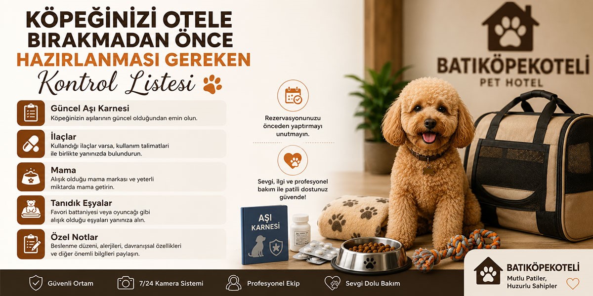 Köpeğinizi Otele Bırakmadan Önce Hazırlanması Gereken Kontrol Listesi, Köpeğinizi Otele Bırakmadan Önce Hazırlanması Gereken Kontrol Listesi