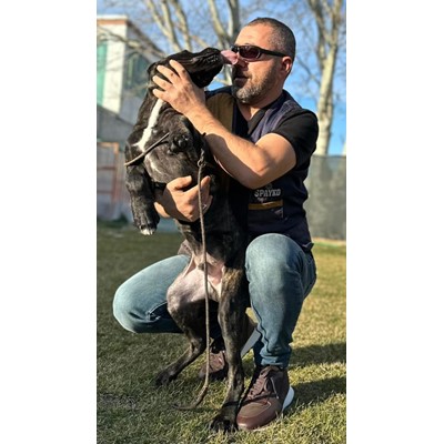 Batıpet