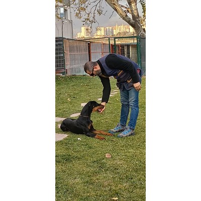 Batıpet