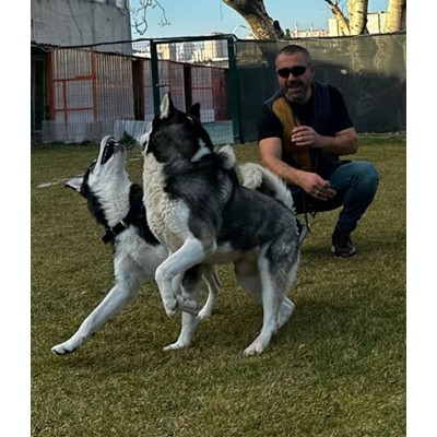Batıpet